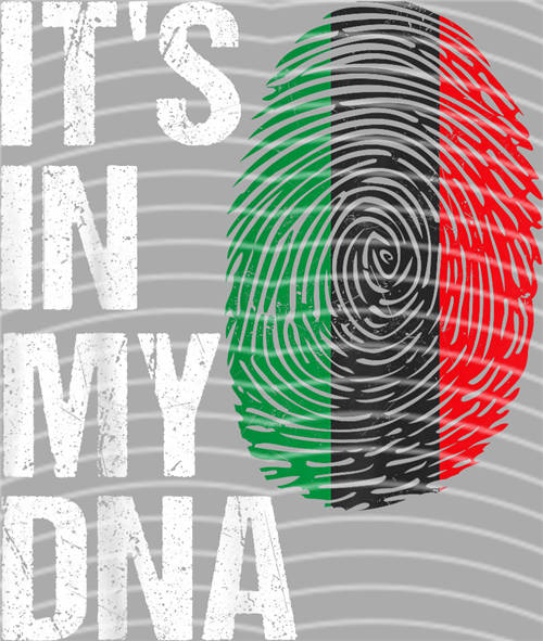 Black History in 1865-LY 527